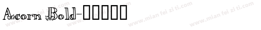 Acorn Bold字体转换